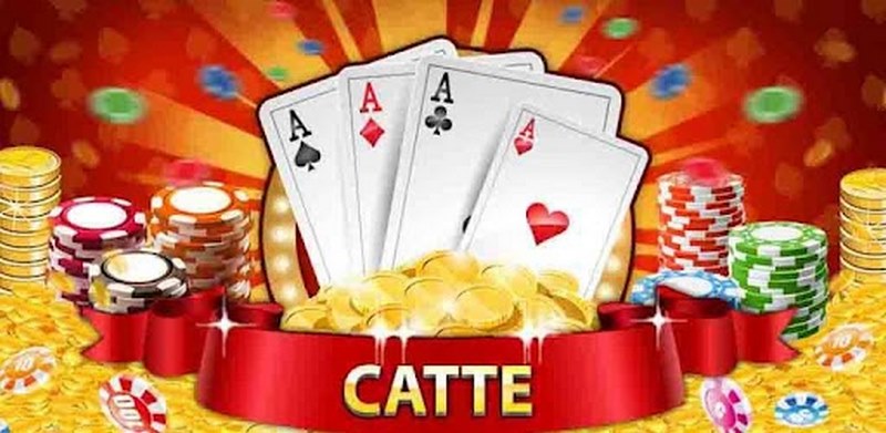 Catte 玩法中最常用的术语
