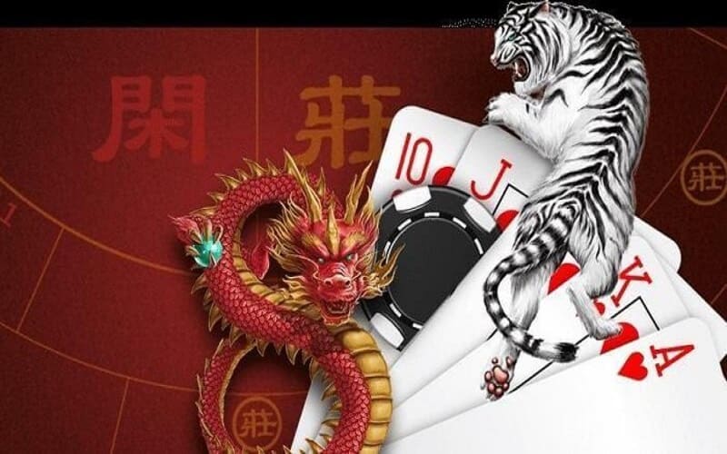 龙虎斗如何玩 - 获胜投注
