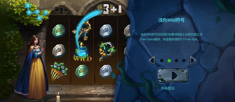 Wild符号