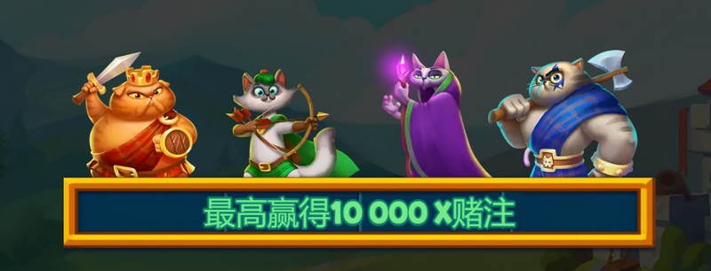 WILD符号