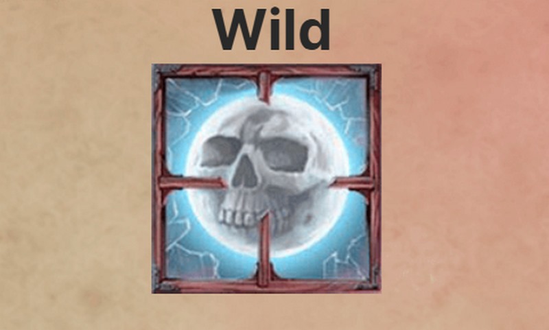 Wild符号