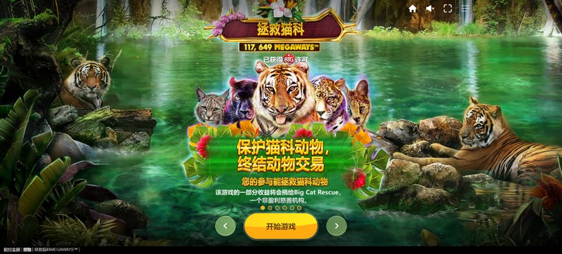 游戏介绍
