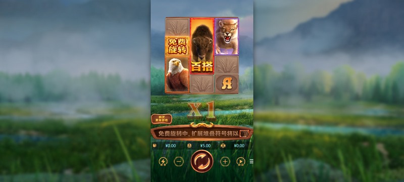 美洲野牛