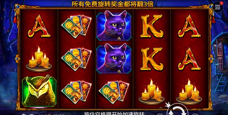 命运女士