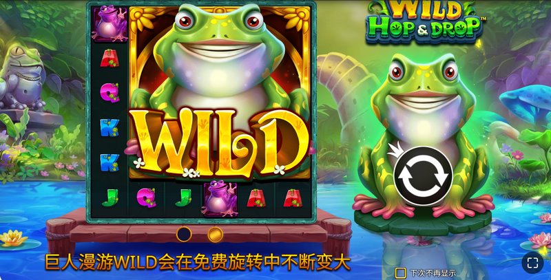 WILD符号
