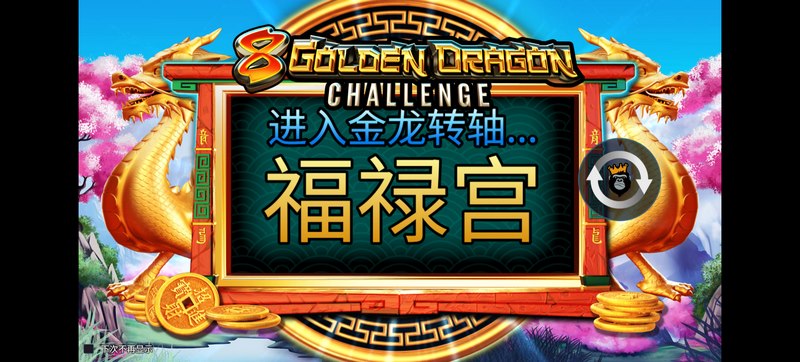 8金龙挑战