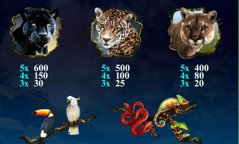 深入原始秘境,揭开失落传说——《亚马逊之谜》震撼开启! 3 游戏介绍