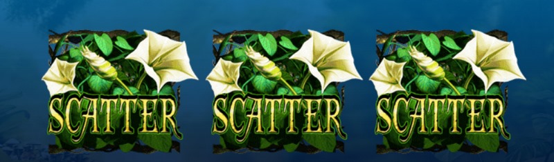 深入原始秘境,揭开失落传说——《亚马逊之谜》震撼开启! 4 MOONLIGHT 免费游戏