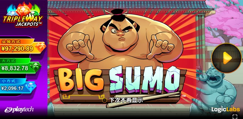 《大相扑》——力量对决,一推定胜负! 6 大相扑