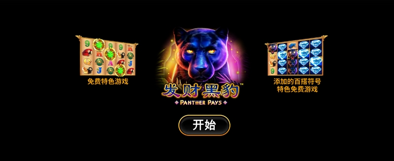 《发财黑豹》——好运降临,一夜暴富不是梦! 3 游戏介绍